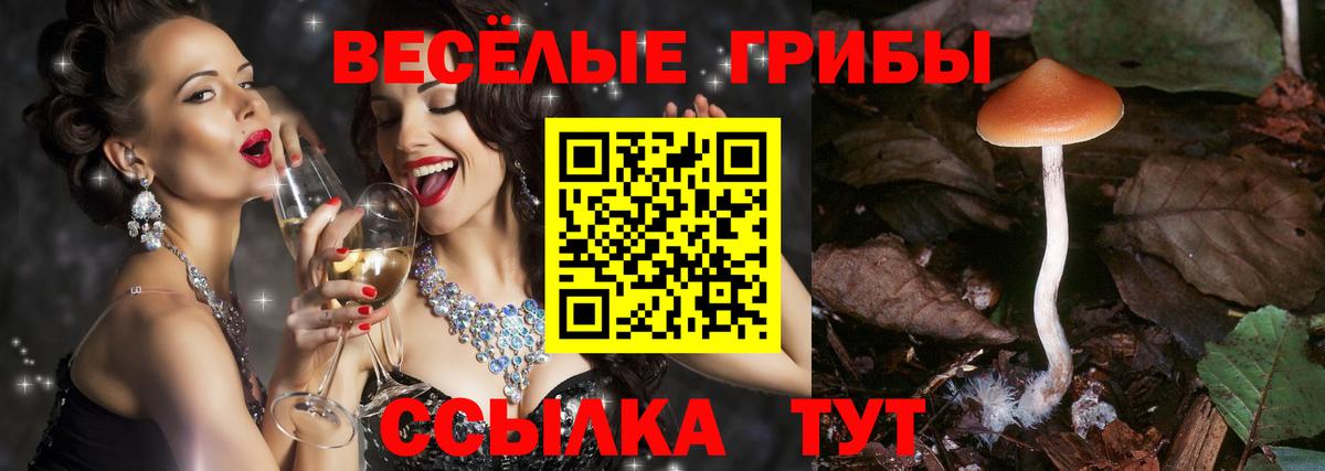 Ярцево  Галлюциногенные грибы мухоморы  Вход с VPN 